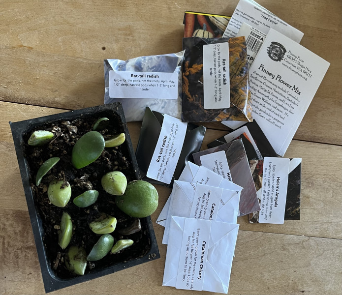Swap seeds and plants