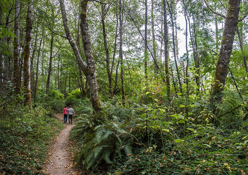 Take a Brisk Walk- Anywhere! - outdoors