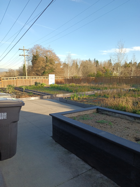 Experienced gardener advice and help